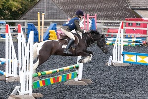 Class 3 -  Fences not above 2'3